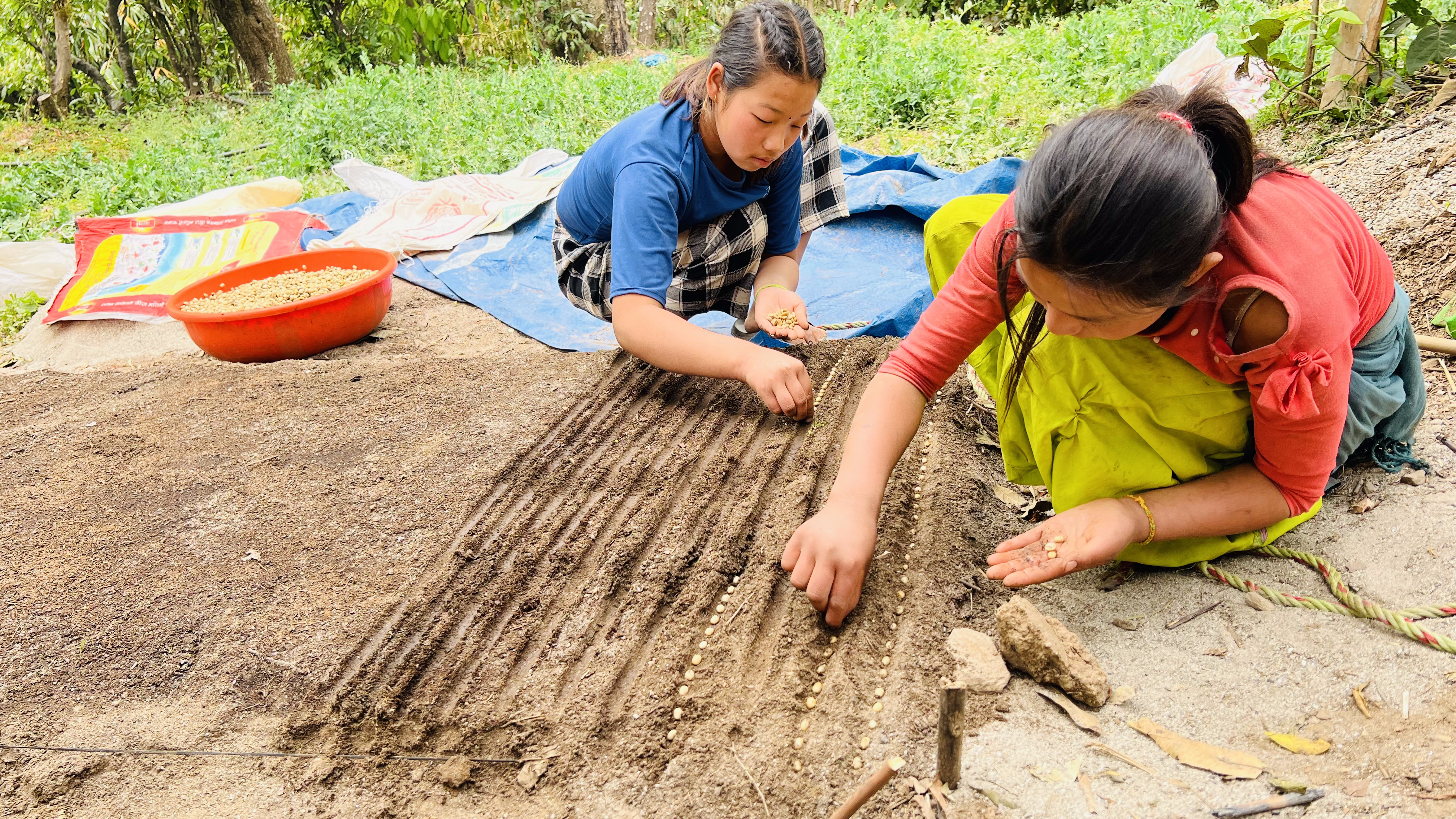 Langtang Coffee Farm