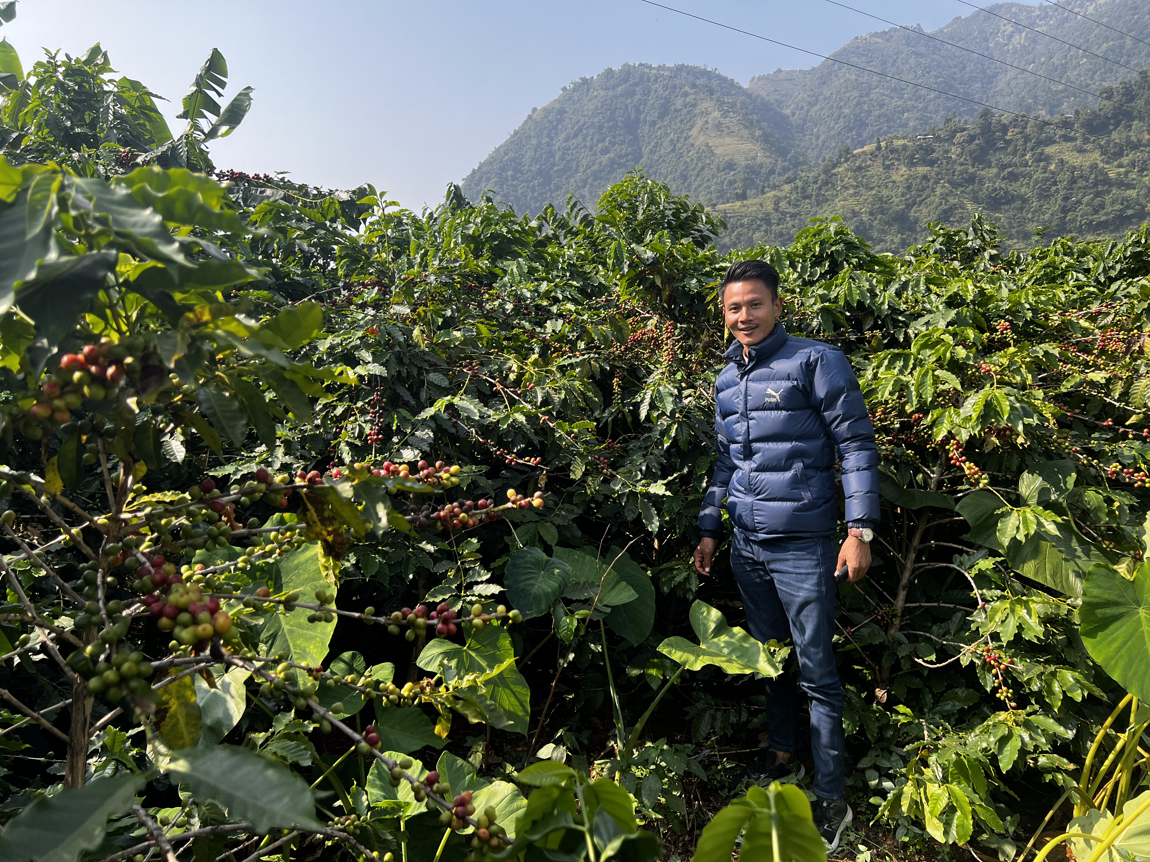 Langtang Coffee Farm