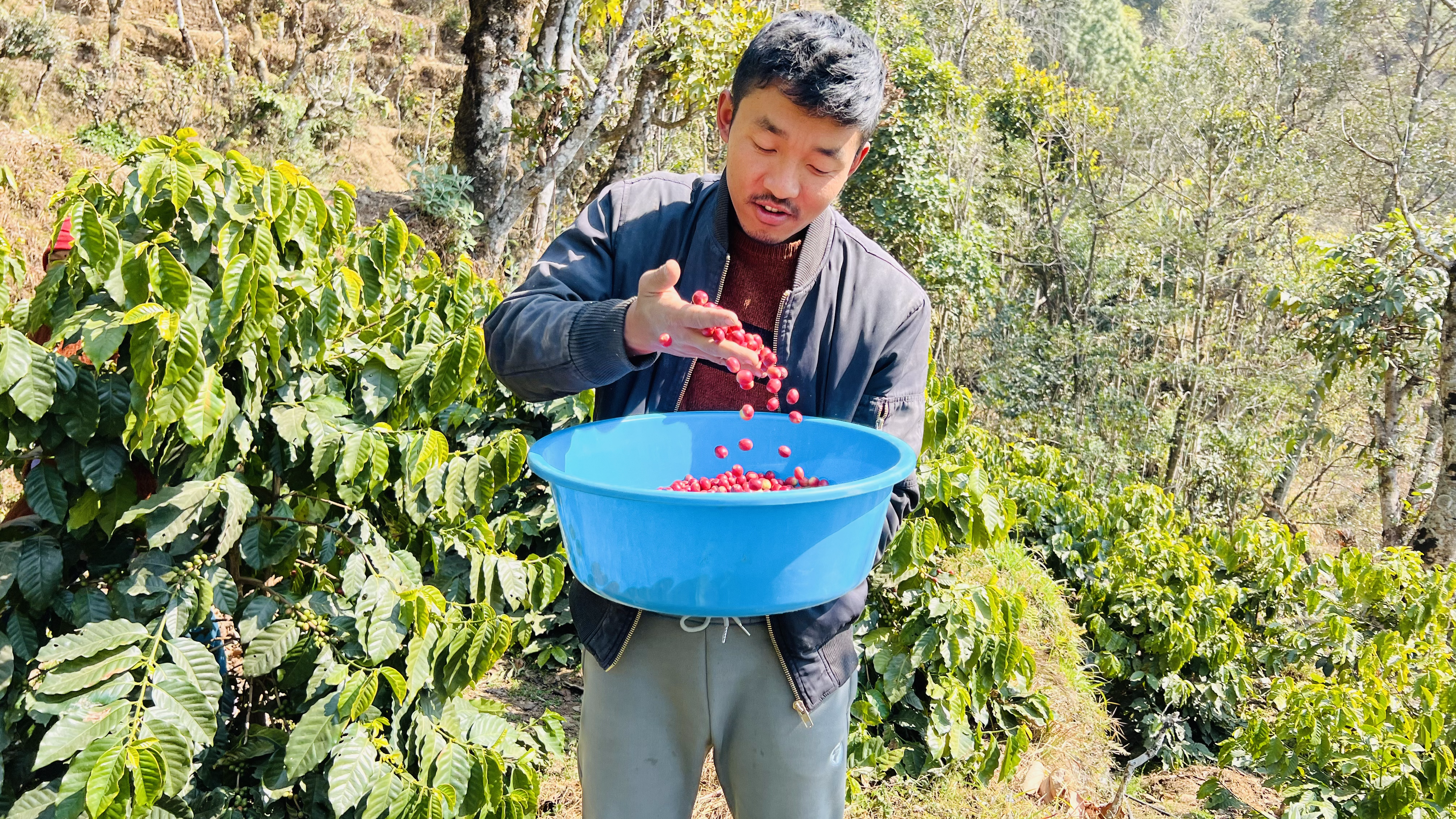 Langtang Coffee Farm